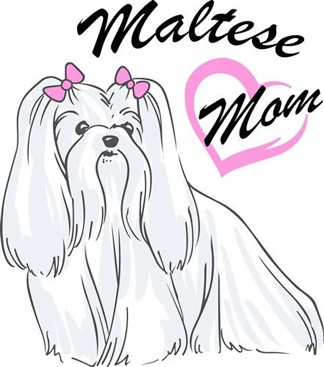 MALTESE MOM