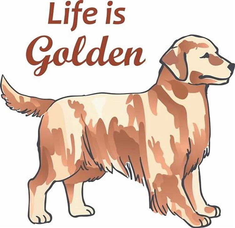 LIFE IS GOLDEN