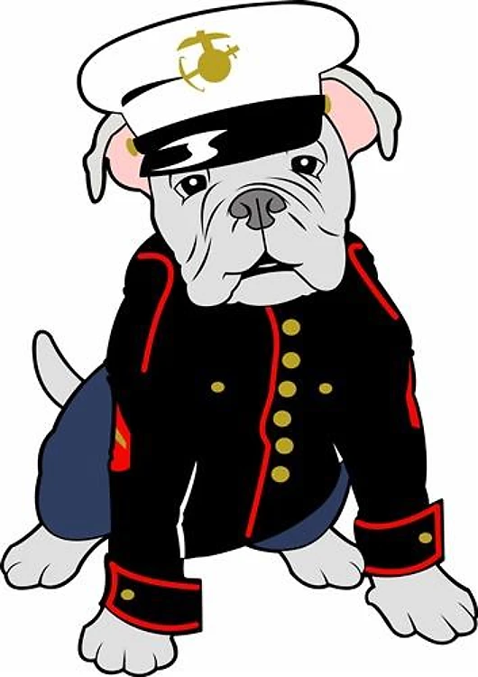MARINE BULLDOG