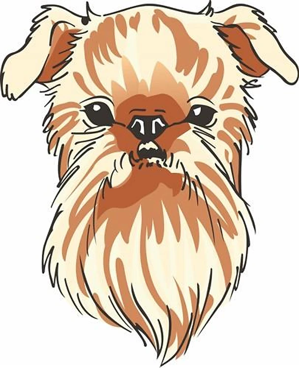 BRUSSELS GRIFFON DOG