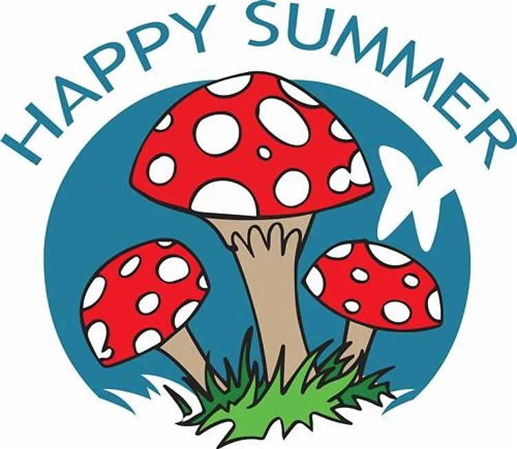 HAPPY SUMMER