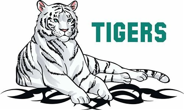 TEAM TIGERS