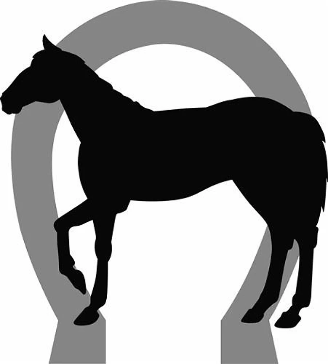 HORSE HORSESHOE