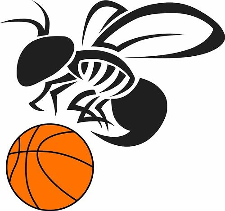 YELLOW JACKET BASKETBALL