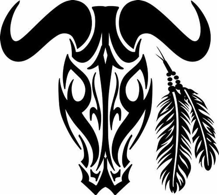 COW SKULL AND FEATHERS