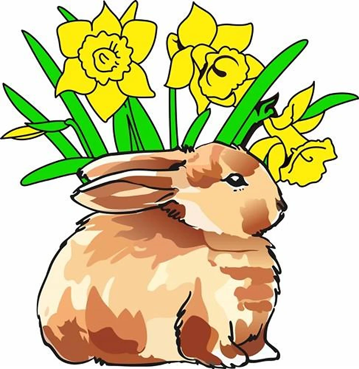 BUNNY AND DAFODILS