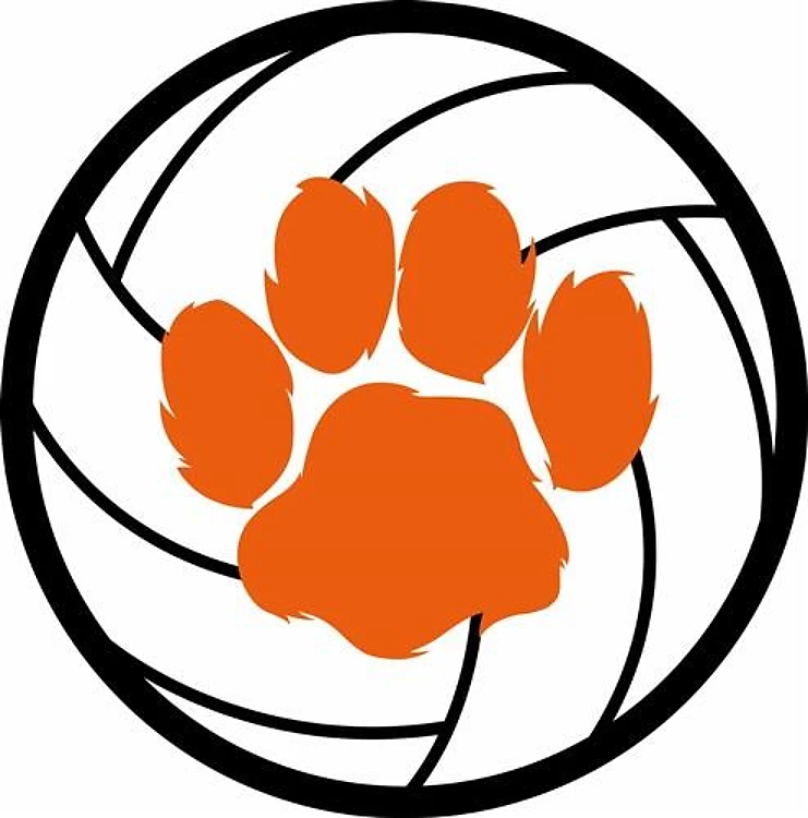 CAT PAW VOLLEYBALL