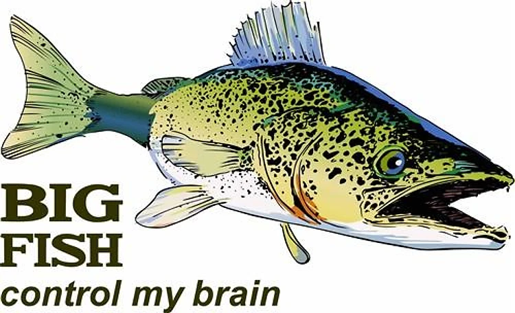 BIG FISH CONTROL MY BRAIN