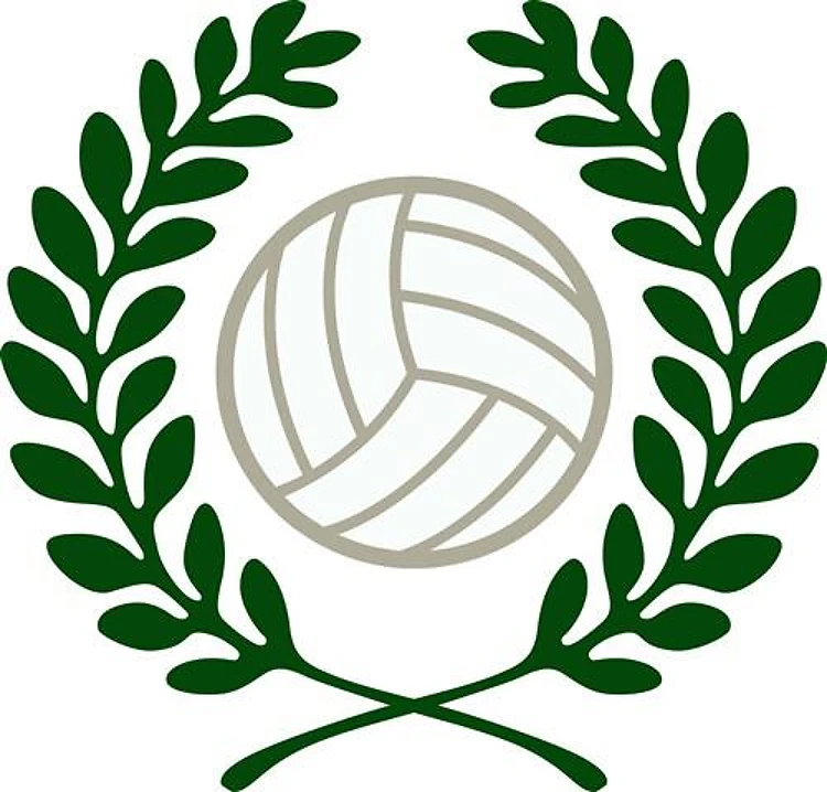 VOLLEYBALL CREST