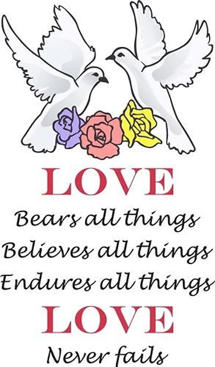 LOVE IS