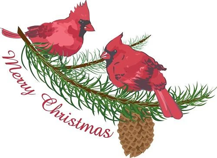 MERRY CHRISTMAS CARDINALS