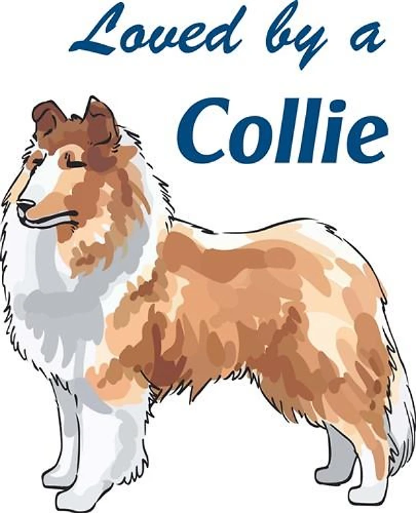 LOVED BY A COLLIE