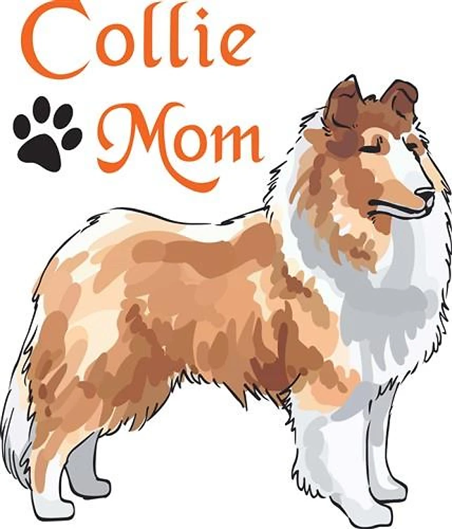 COLLIE MOM