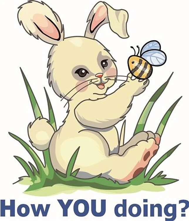 HOW YOU DOING?