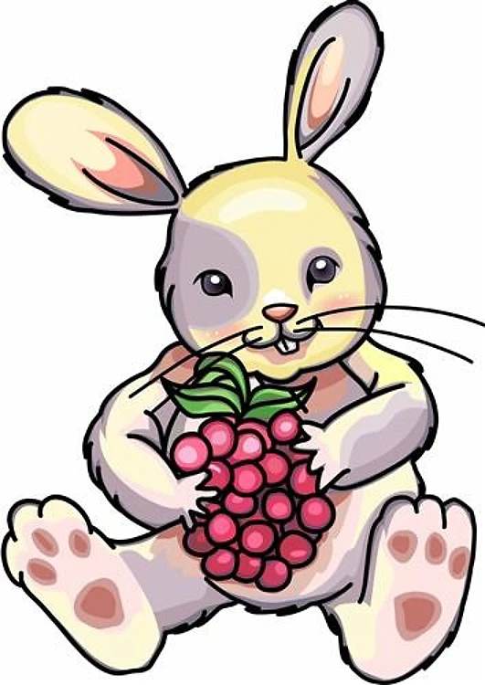 RASPBERRY RABBIT