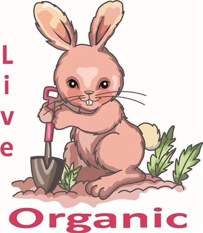 LIVE ORGANIC