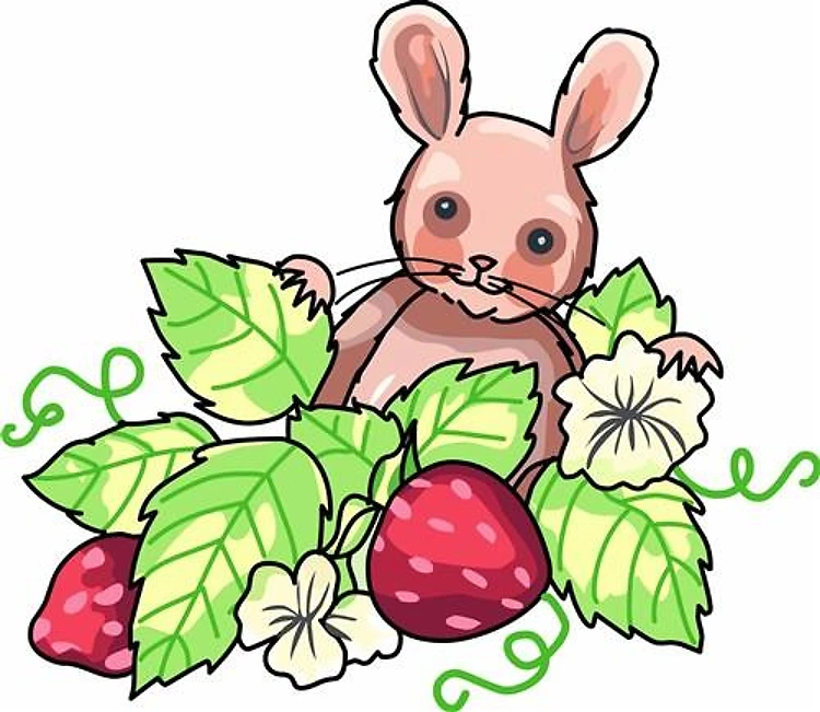 BUNNY STRAWBERRY