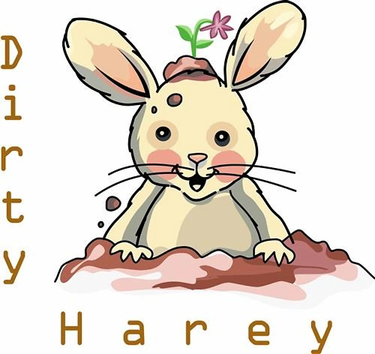 DIRTY HAREY BUNNY
