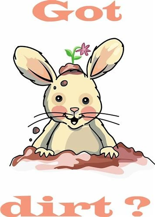 BUNNY GOT DIRT