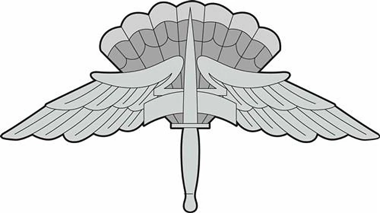 FREE FALL PARACHUTIST