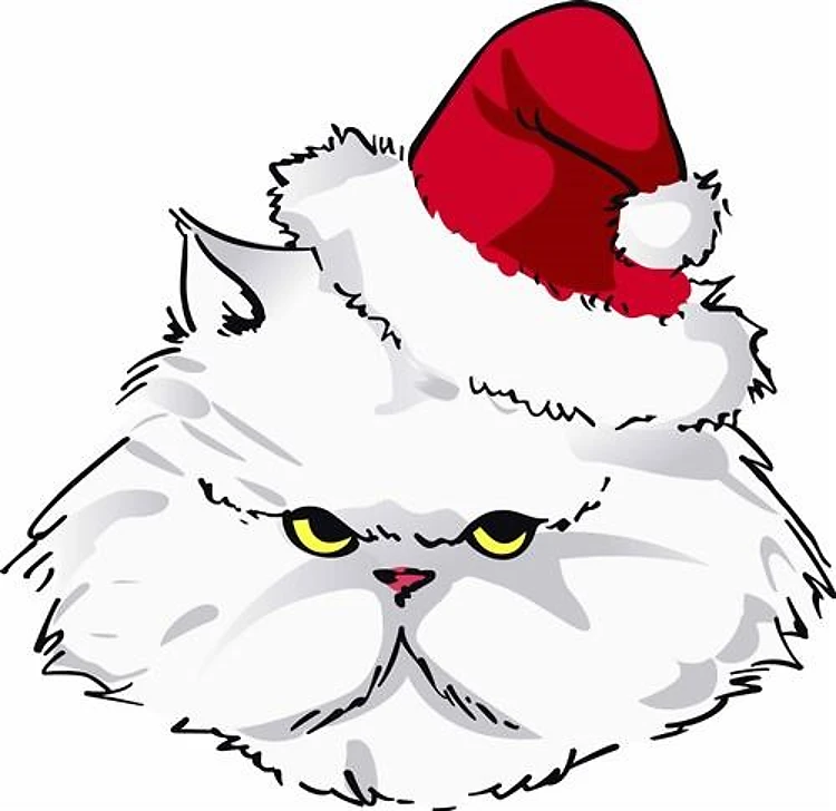 HOLIDAY PERSIAN