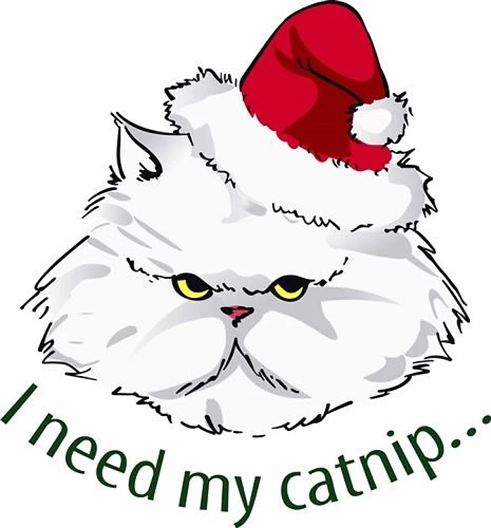 I NEED MY CATNIP