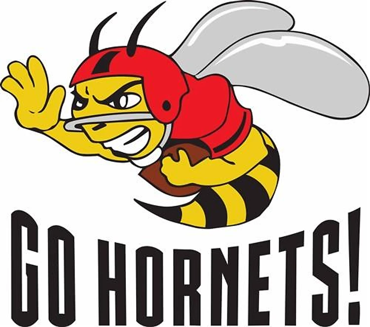 GO HORNETS
