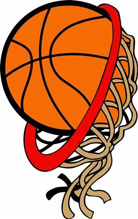 BASKETBALL NET