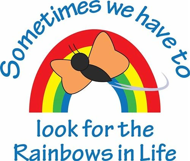 LOOK FOR THE RAINBOWS