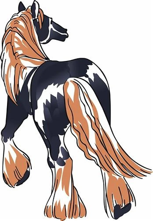 CLYDESDALE HORSE