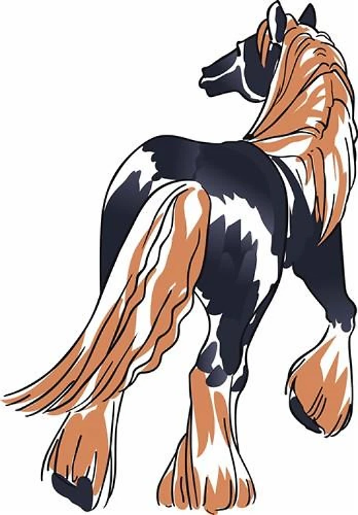 LARGER CLYDESDALE HORSE