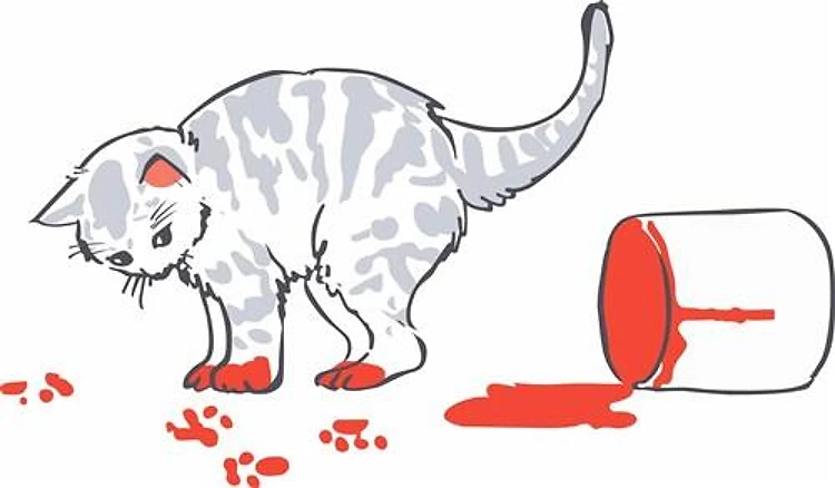 KITTEN IN PAINT