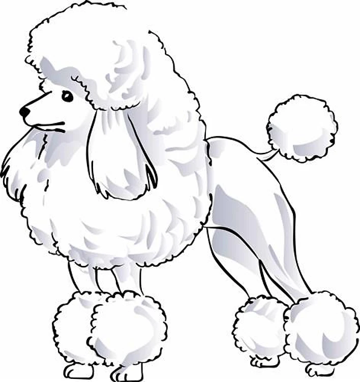POODLE