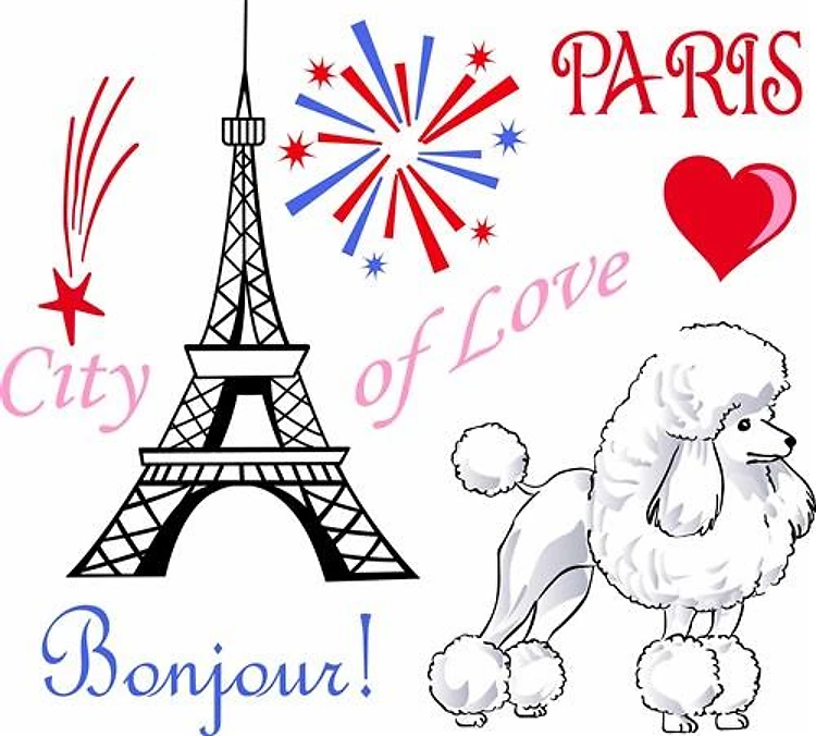 POODLE IN PARIS