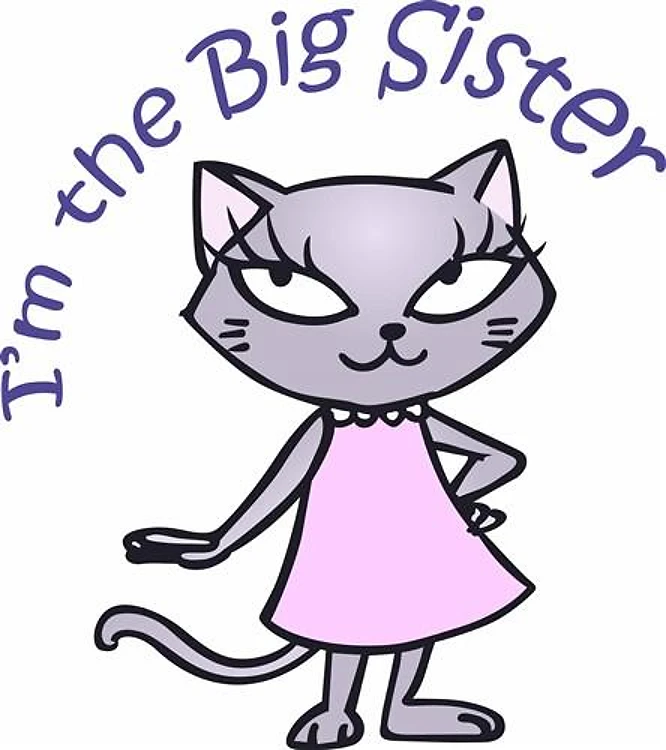IM THE BIG SISTER