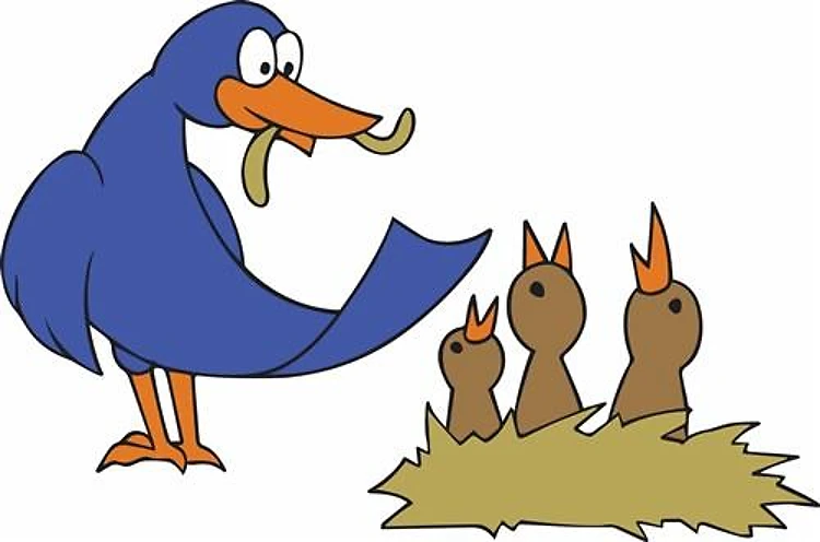 BIRD AND BABIES