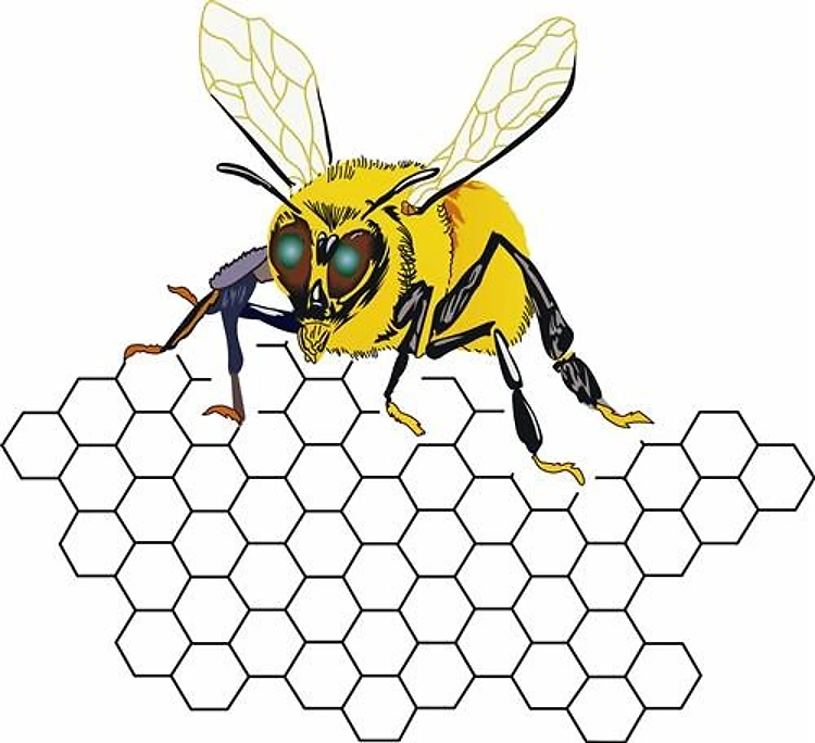 BEE ON HONEYCOMB