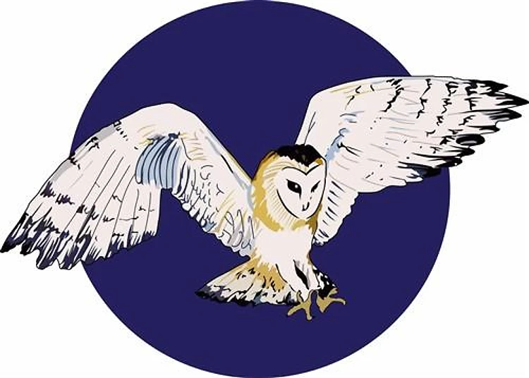 NIGHT BARN OWL