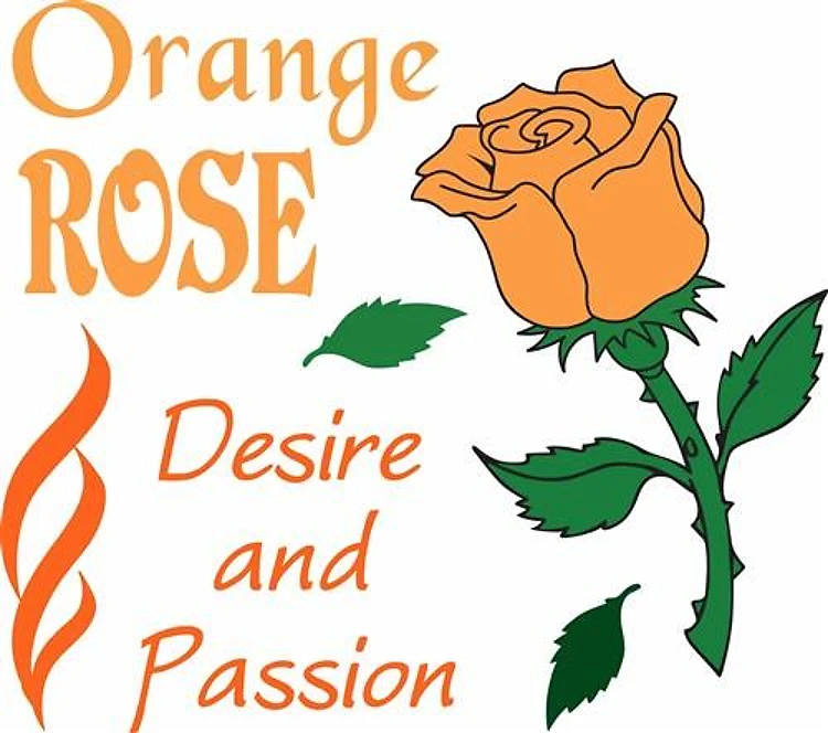 ORANGE ROSE