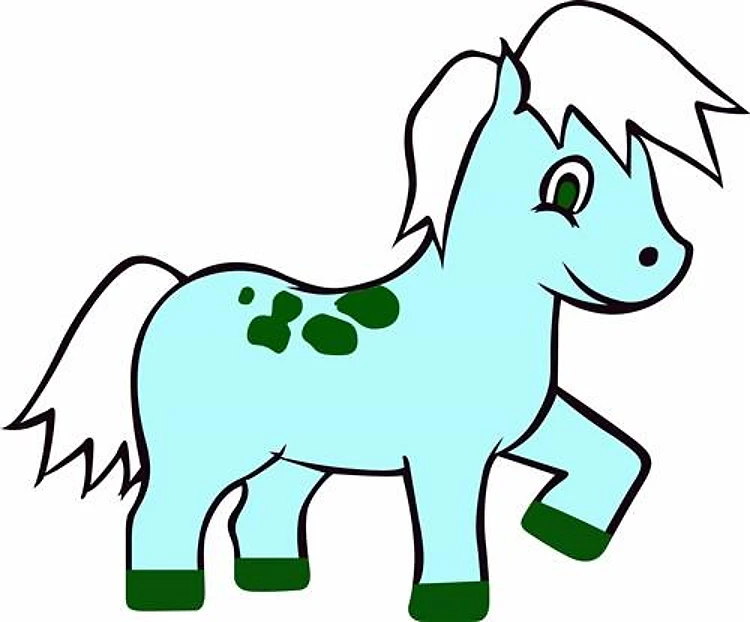 BOY PONY