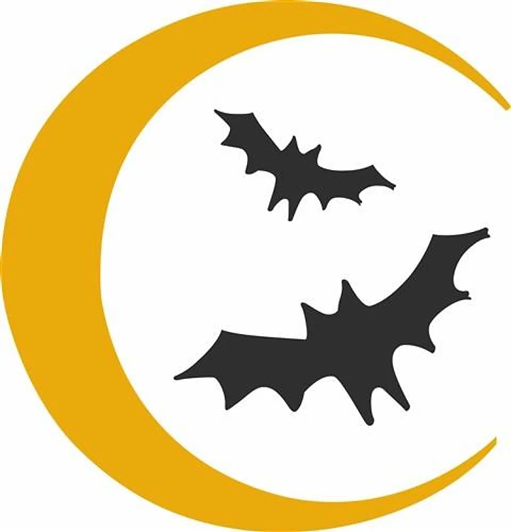 BATS AND MOON