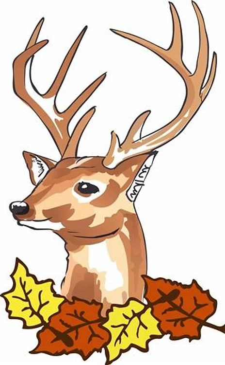 DEER HEAD