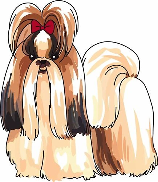 SHIH TZU DOG