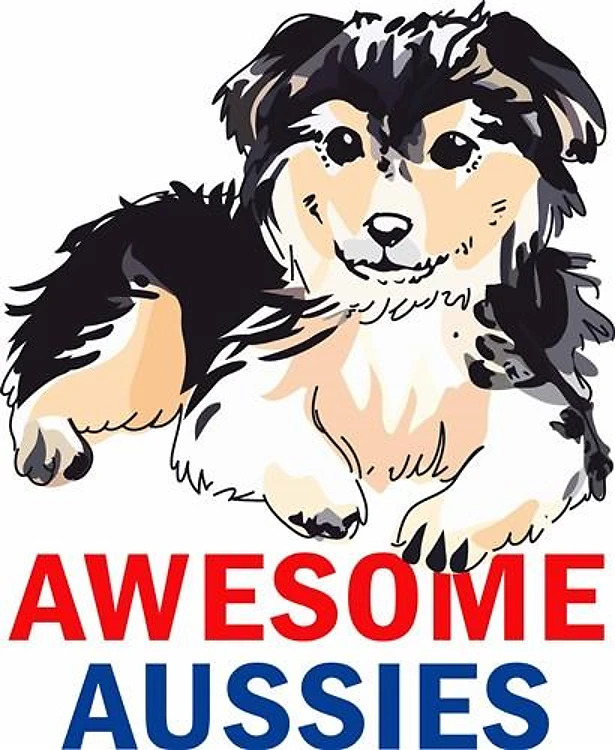 AWESOME AUSIIES