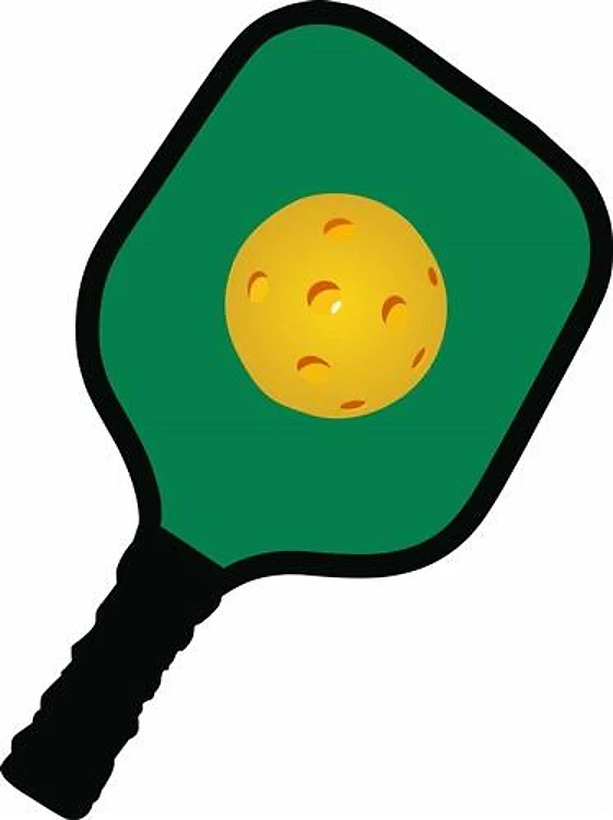 PICKLEBALL AND PADDLE