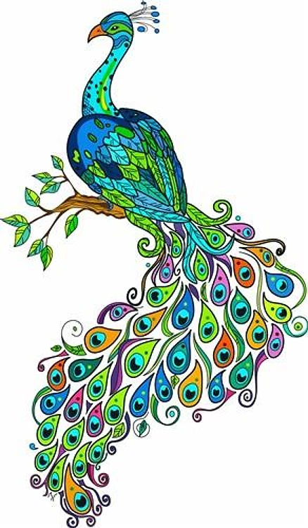 REGAL PEACOCK