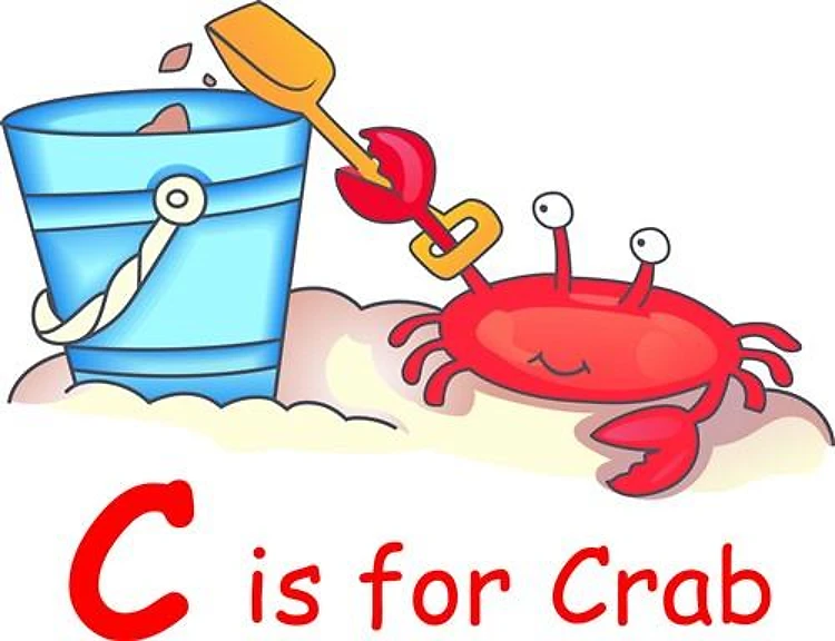 CRAB ON BEACH