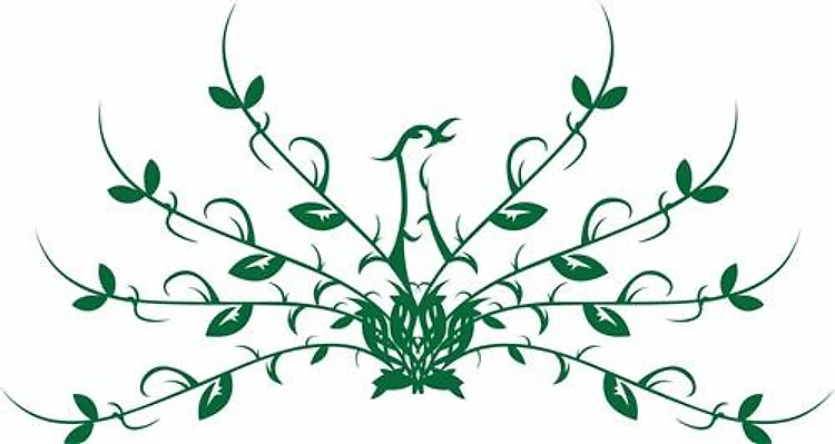 FLORAL PEACOCK