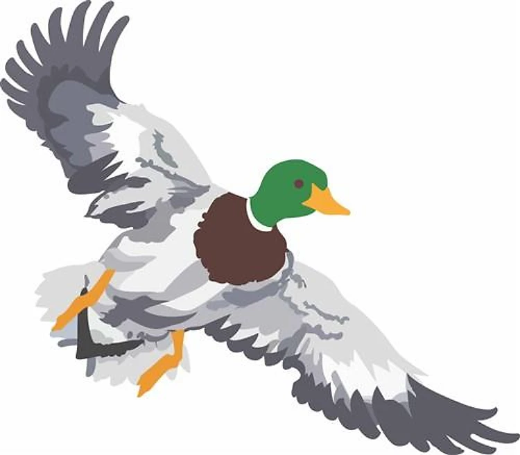 SMALL MALLARD FOR CAPS
