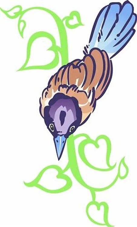 PURPLE CROWNED FAIRY WREN